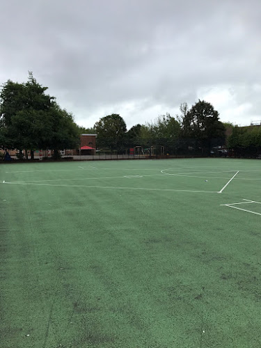 image6 (1)